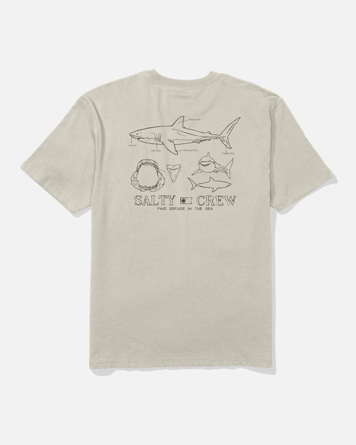 Salty Crew Great Wht Ss Tee  Camiseta Hombre