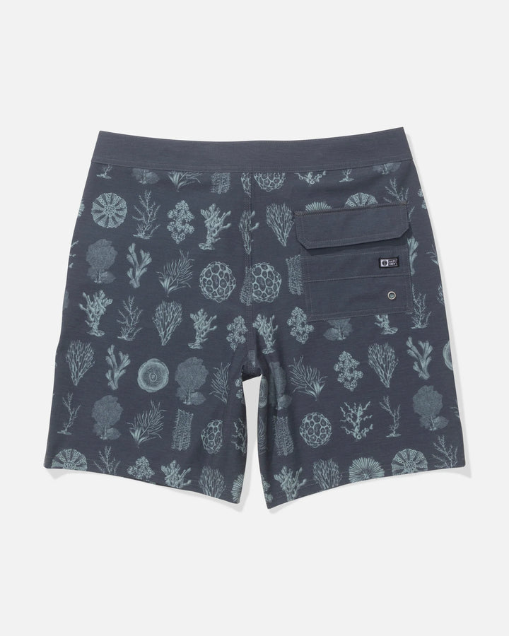 Salty Crew Crew Boardshort Bañador Hombre