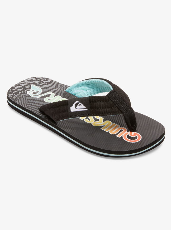 Quiksilver Molokai Layback Chanclas Niño