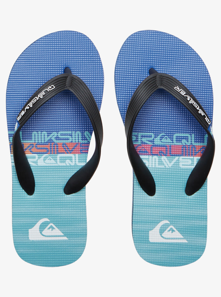 Quiksilver Molokai Art II Youth Chanclas Niño