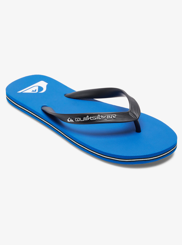 Quiksilver Molokai Core Chanclas Hombre Azul