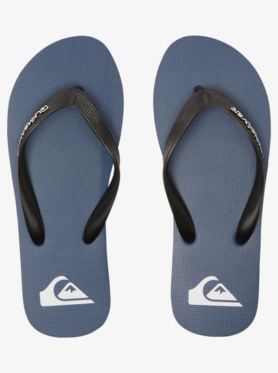 Quiksilver Molokai Core Chanclas Hombre