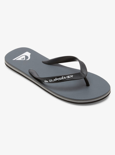 Quiksilver Molokai Core Chanclas Hombre