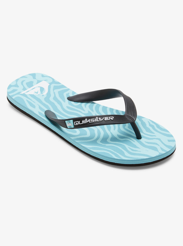 Quiksilver Molokai Art II Chanclas Hombre