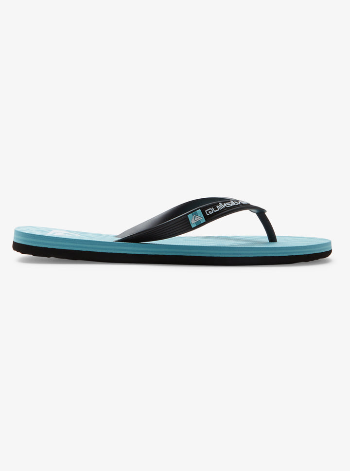 Quiksilver Molokai Art II Chanclas Hombre