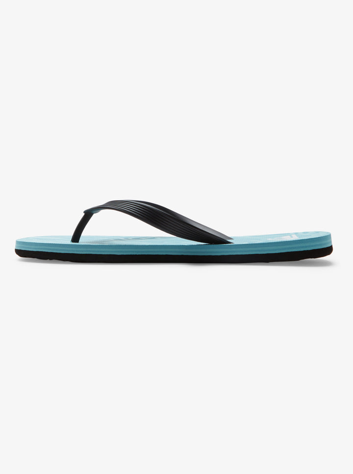 Quiksilver Molokai Art II Chanclas Hombre