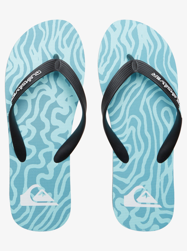 Quiksilver Molokai Art II Chanclas Hombre