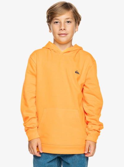 Quiksilver Basic Sudadera con Capucha Niño