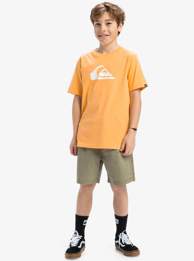 Quiksilver EV Comp Logo Camiseta Niño SPRING25