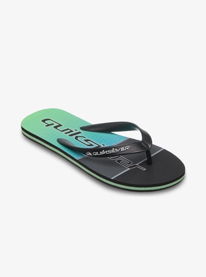Quiksilver Molokai Stripe Chanclas Hombre