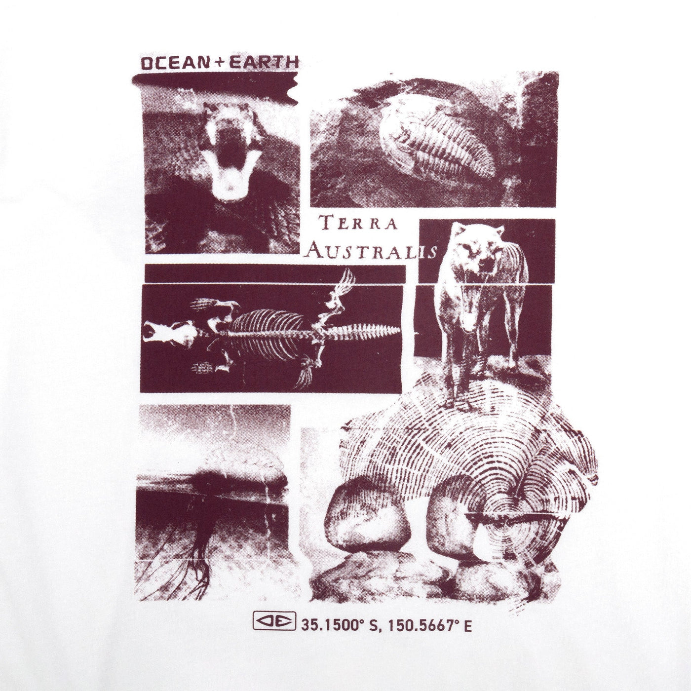Ocean & Earth Australia  Camiseta Hombre