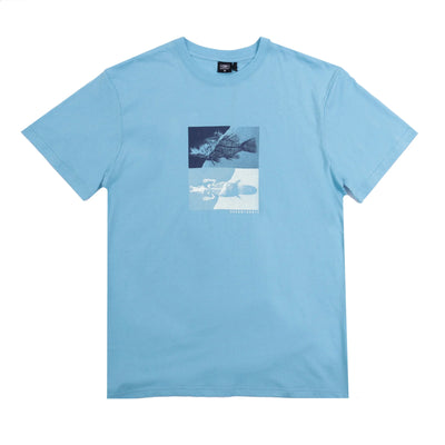 Ocean & Earth Fish  Camiseta Hombre