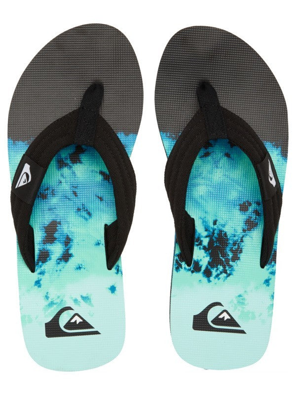 Quiksilver Molokai Layback Chanclas Hombre