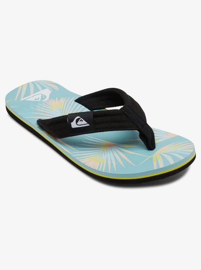 Quiksilver Molokai Layback Chanclas  Hombre