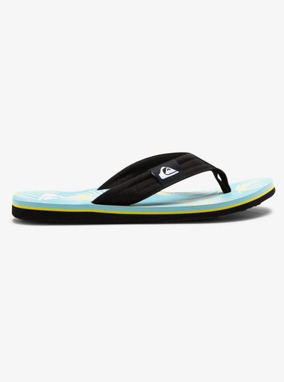 Quiksilver Molokai Layback Chanclas  Hombre