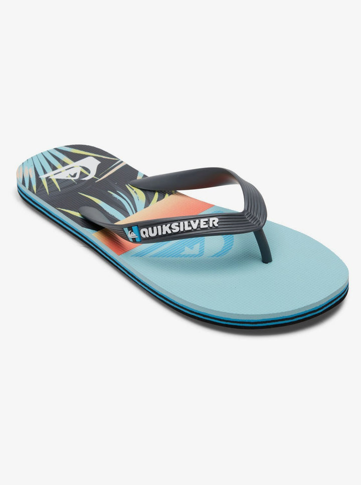 Quiksilver Molokai Panel Chanclas Hombre Multicolor