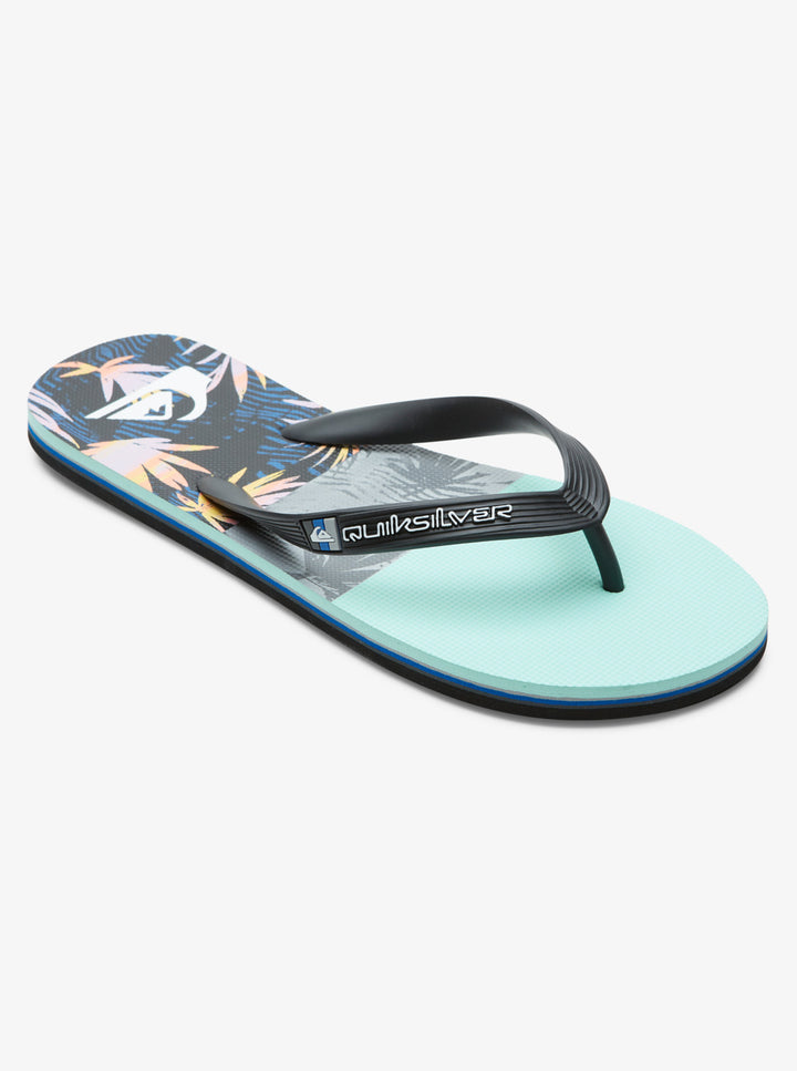 Quiksilver Molokai Panel Chanclas Hombre Multicolor