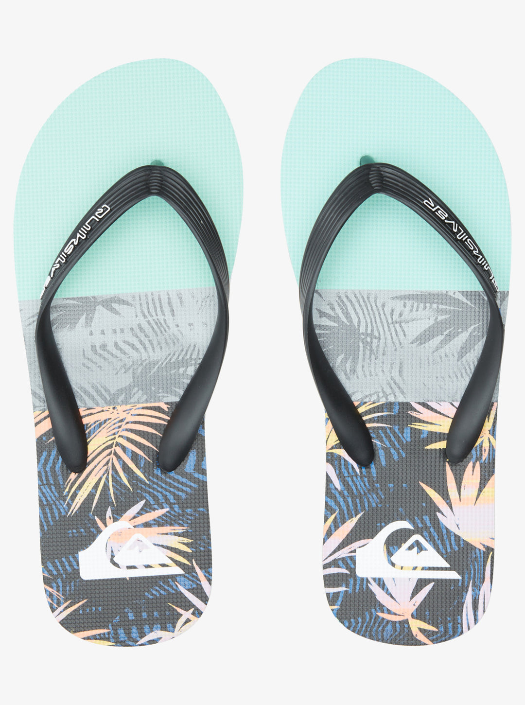 Quiksilver Molokai Panel Chanclas Hombre Multicolor