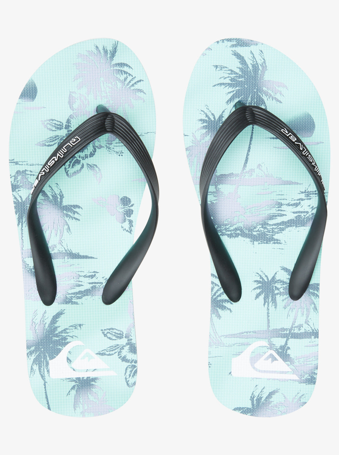 Quiksilver Molokai Air Flow Chanclas Hombre
